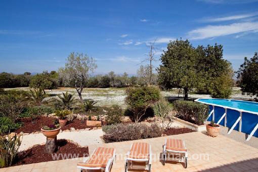 Terrace and swimming pool