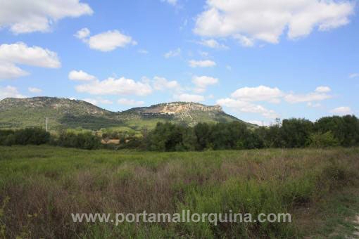Plot in excelent location at the mountain of Randa