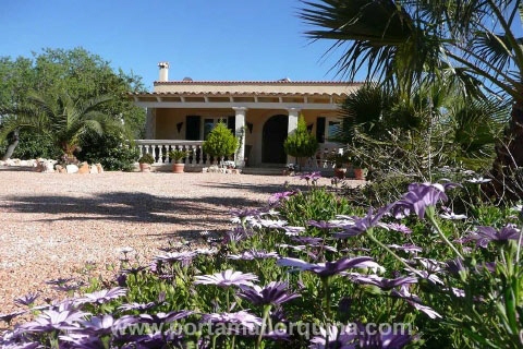finca in Llucmajor for sale