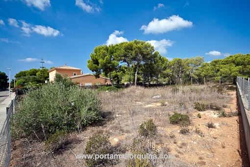 Street view over the plot