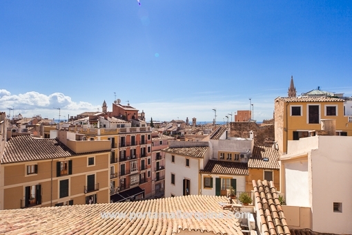 penthouse Palma de Mallorca Old Town 105312