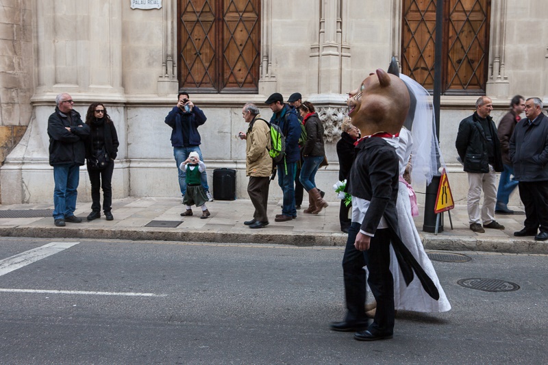 The animal consecration to San Antoni is a spectacle for young and old