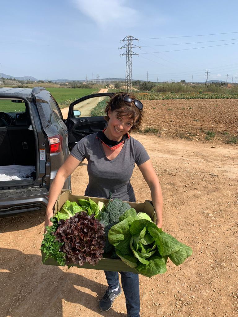 Nicky Neumann diligently harvests fruit and vegetables in order to support the aid organizations even more.