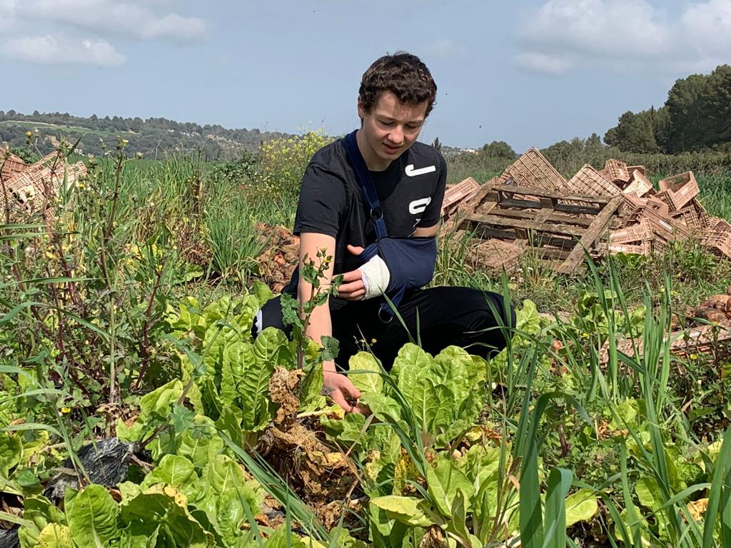 Nicky's sons are also actively helping. Son Malik harvesting.