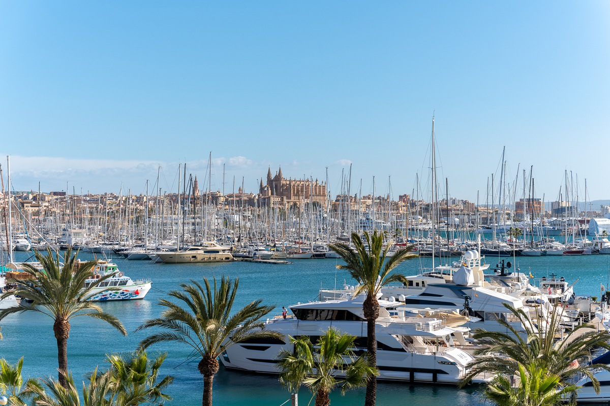 Palma City with a view of the marina and the cathedral.