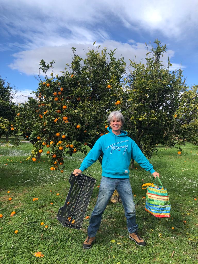 Tom Mardorf harvesting for the Santa Ponsa Foodbank