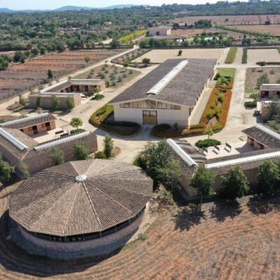 Horse riding properties in Mallorca – the perfect island for horse lovers