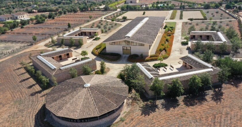 Horse riding properties in Mallorca – the perfect island for horse lovers