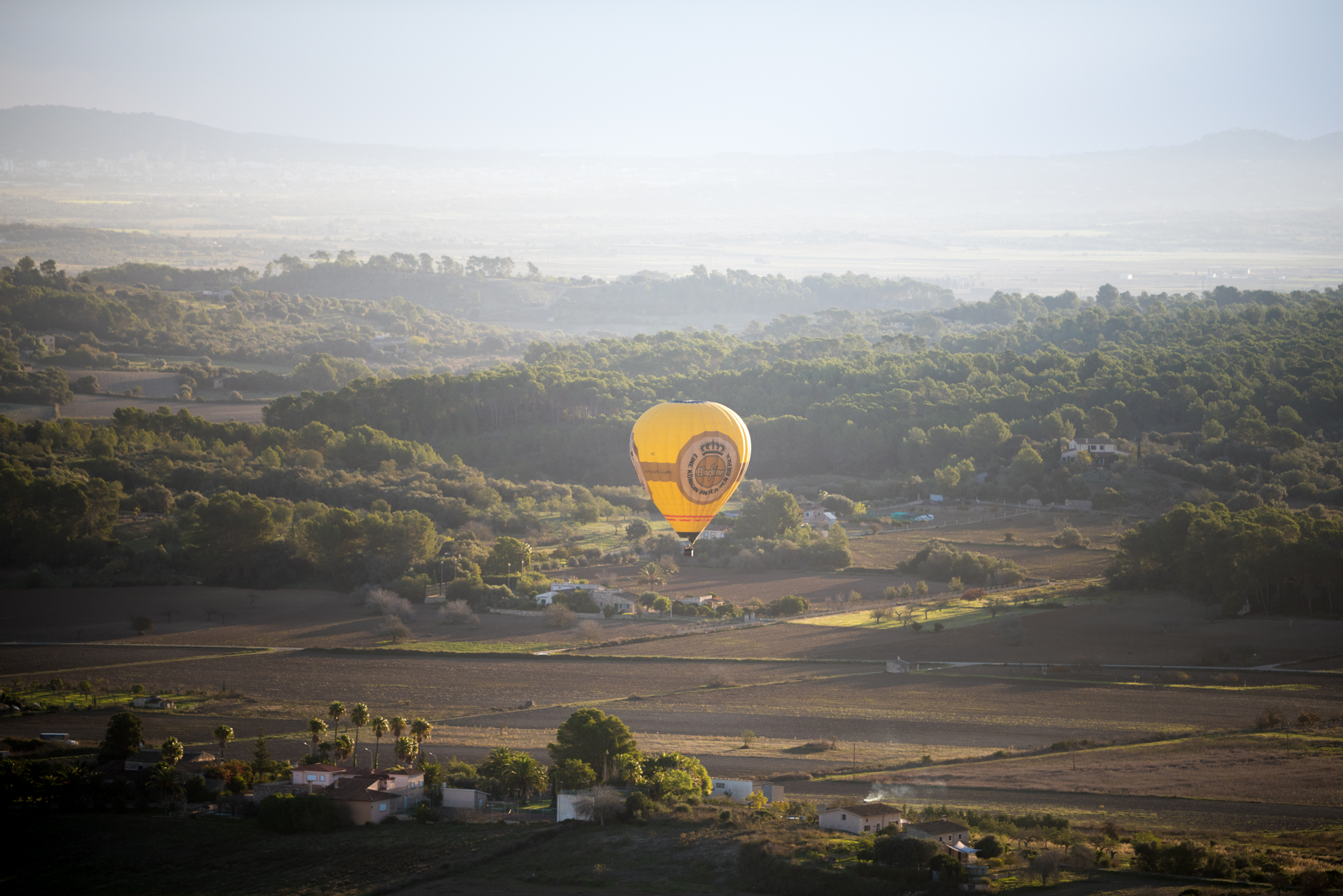 Mallorca will remain a popular hotspot for international investors in 2019.