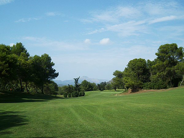 Old trees and the repeated nice view on the Tramuntana Mountains are quite characteristic for Poniente. 