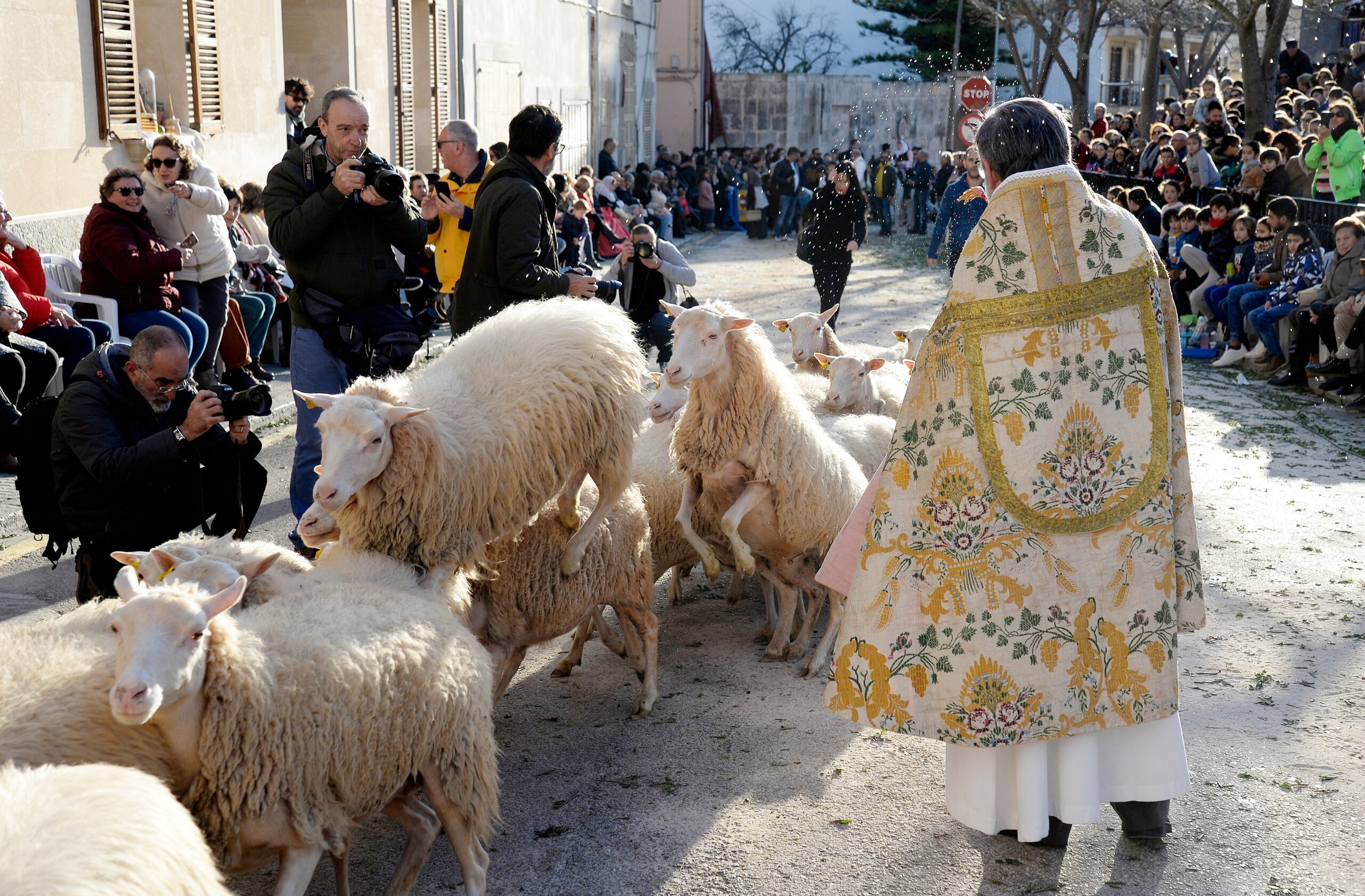 The animal consecration in Sant Antoni is a spectacle for young and old alike