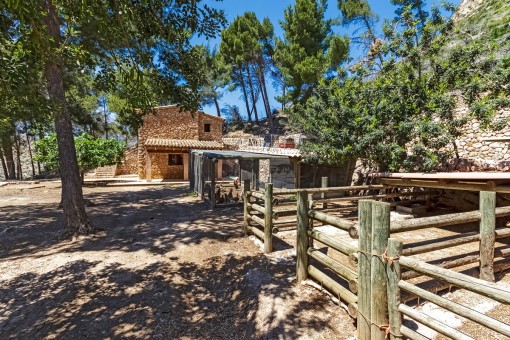 Small animal farm