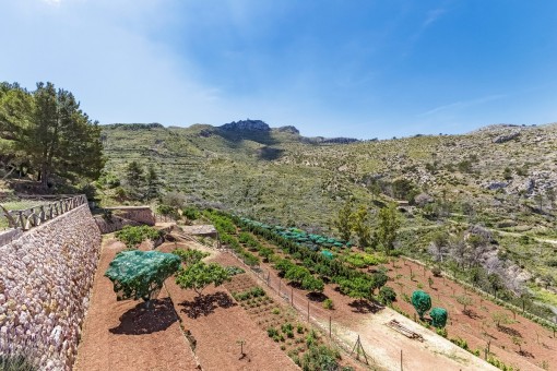 Beautiful garden area