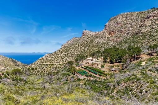 Views over the landscape
