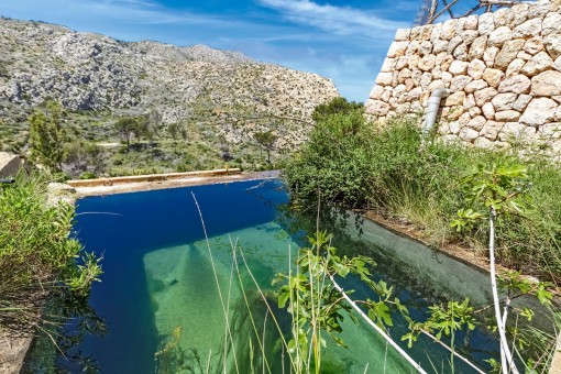 Fresh mountain water