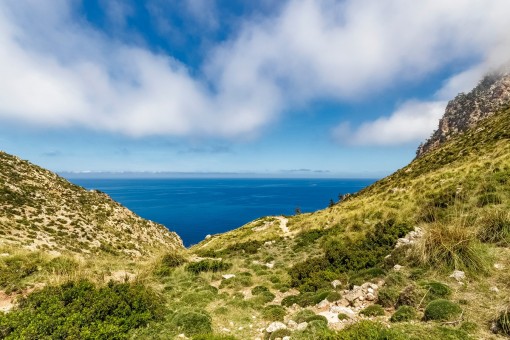 Amazing sea views