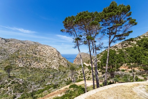 Sea views from the property