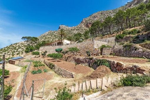 Views over the garden area