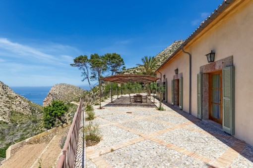 Sunny terrace