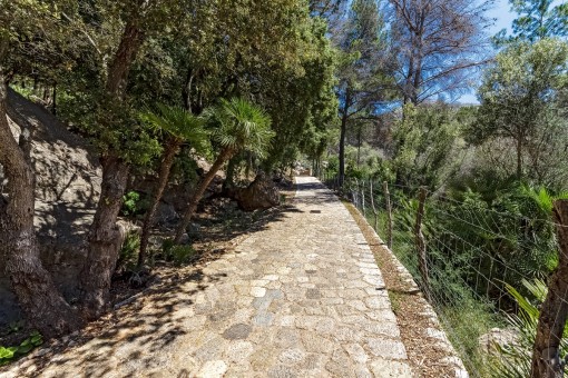 Access to the property
