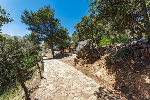 Path leading to the finca