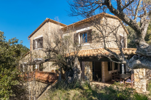 Nature surrounds the stone finca