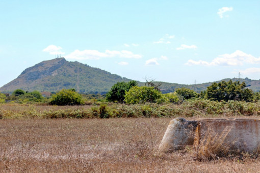 Alternative view of the plot