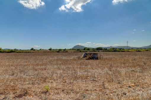 View of the plot