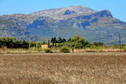 Building plot for sale in Pollensa to build a finca with pool