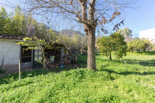 Garden area