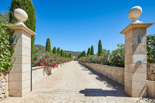 Impressive drive way to the property