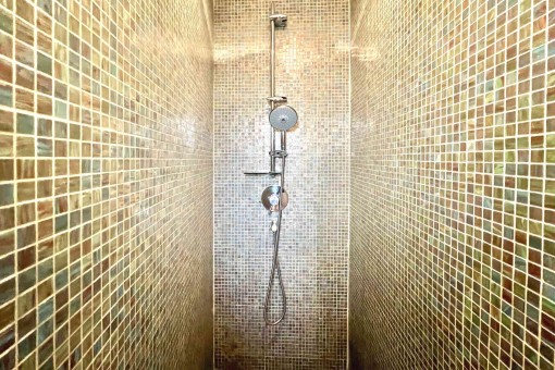 Modern shower 