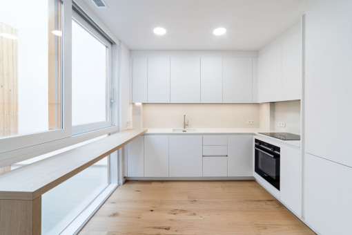 Modern kitchen in white