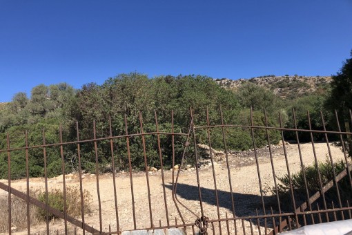 Finca building plot with absolute privacy and tranquillity and lovely southerly views near Alcudia