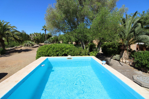 Sunny pool area