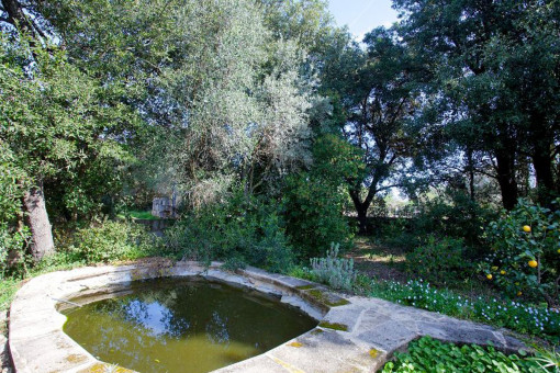 Fish pond