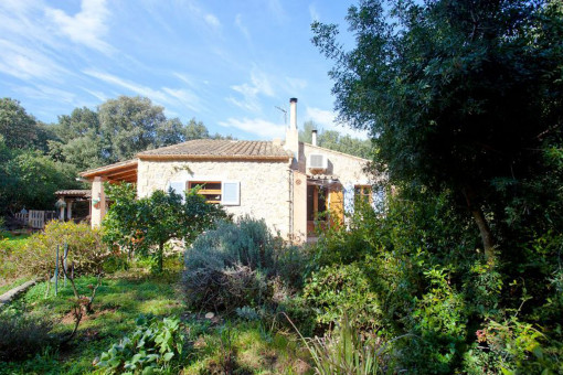 Side view of the finca