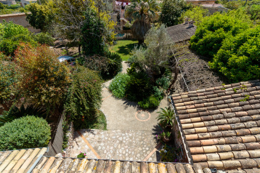 Terrace and garden