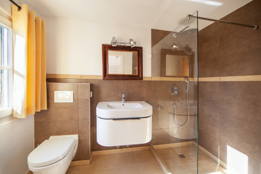 Bathroom with walk-in shower