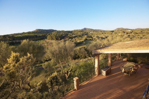 View into the landscape