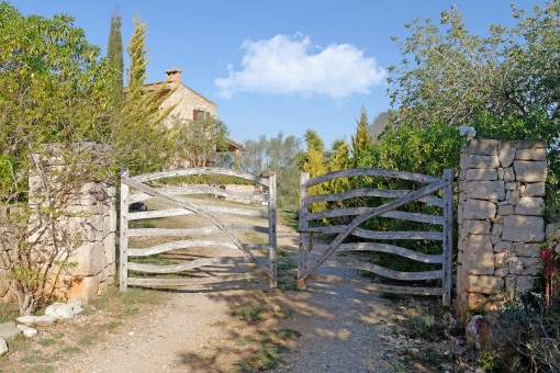 Drive way