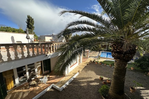 View into the garden
