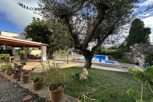 Garden view