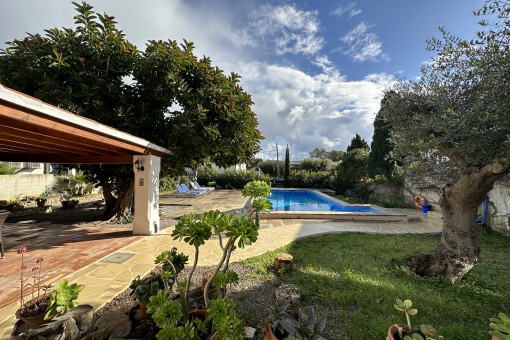 View of the garden