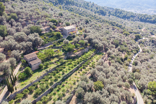 house in Soller