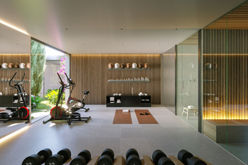 Gym and spa area