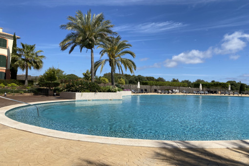 Sunny pool area