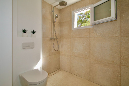 Bathrooms in a modern style
