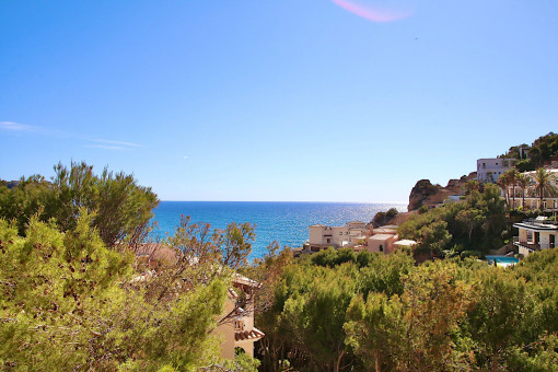 The penthouse is close to the harbour and its restaurants