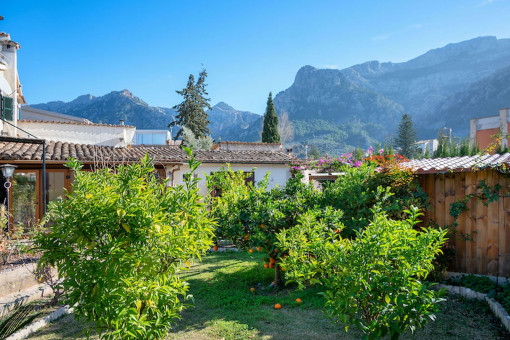 Garden and Traumtana mountain views
